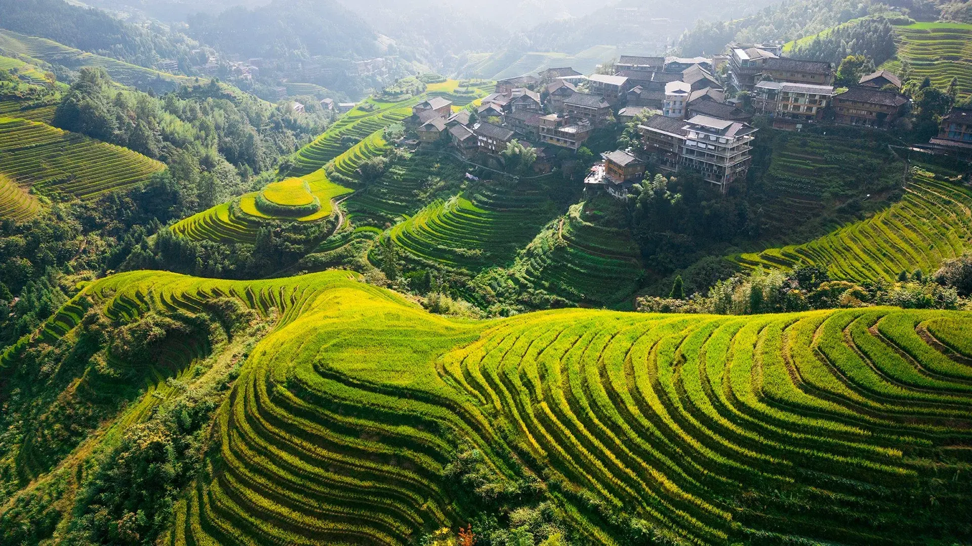 Hotel Chiny caluśkie