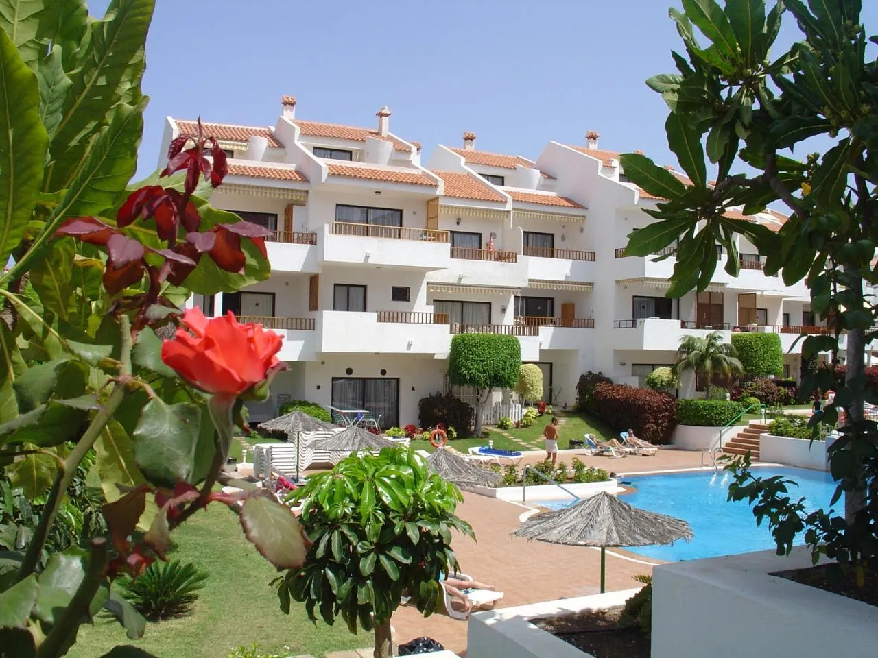 Cristian Sur — CRISTIAN SUR