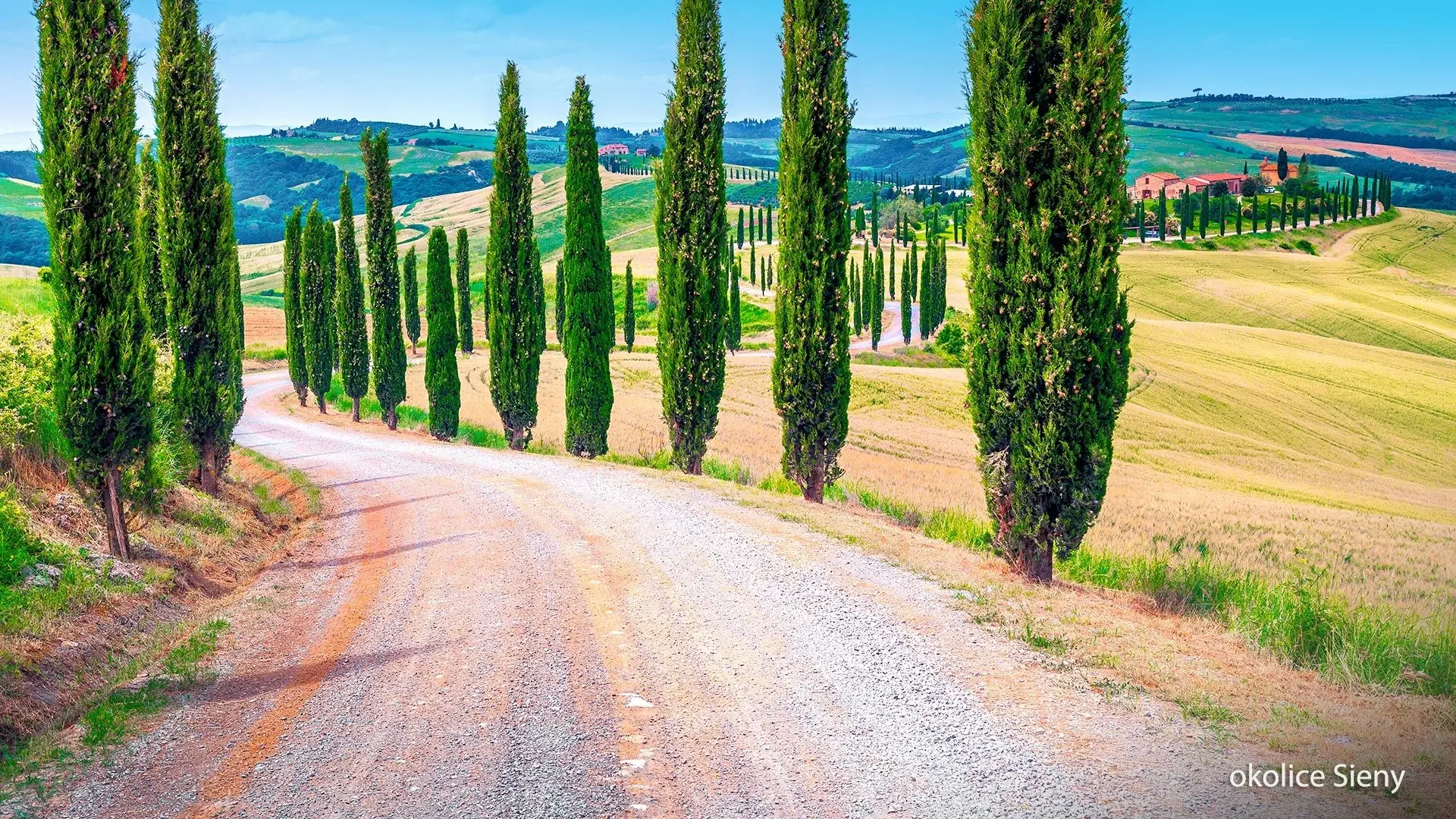 Wycieczka Cyprysowe pejzaże