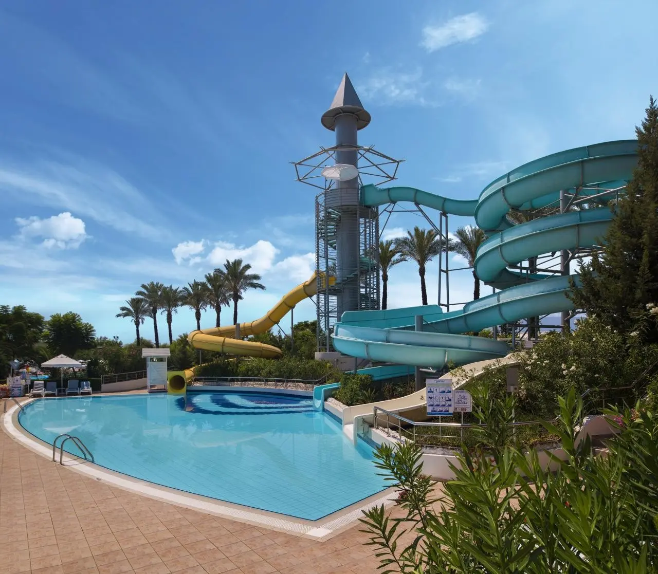 Delphin Diva Premiere — DELPHIN DIVA PREMIERE