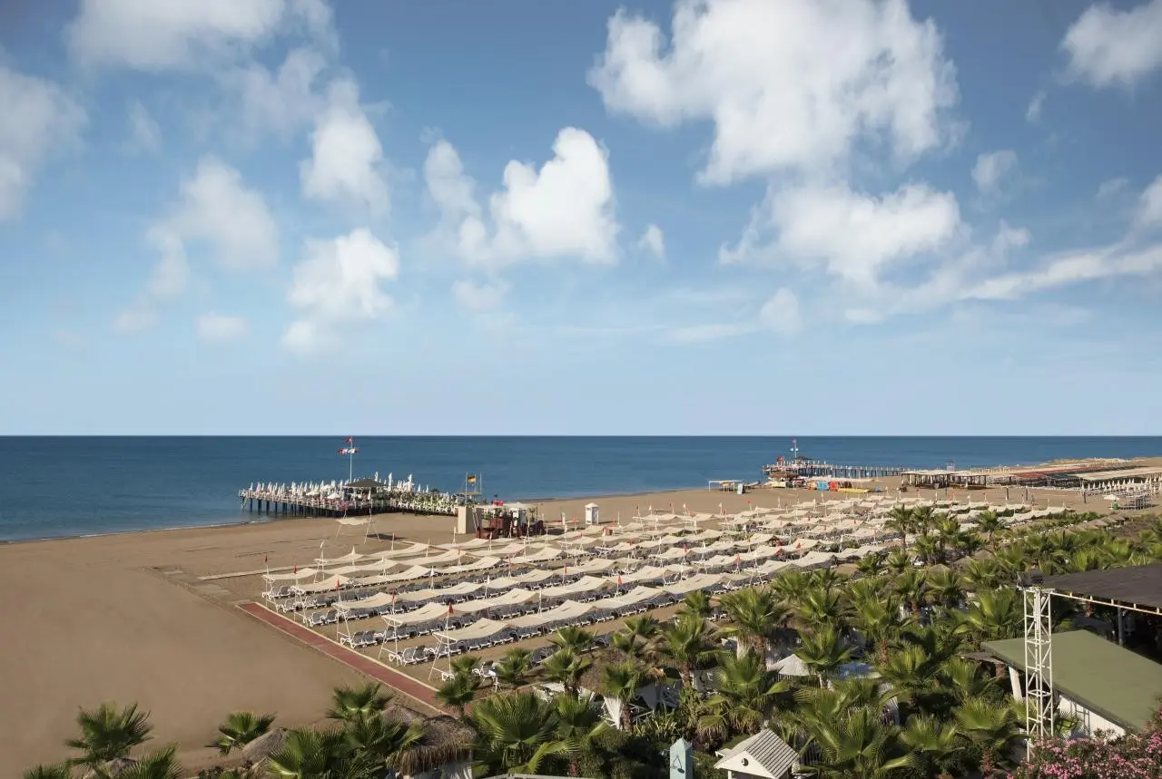 Delphin Diva Premiere — DELPHIN DIVA PREMIERE