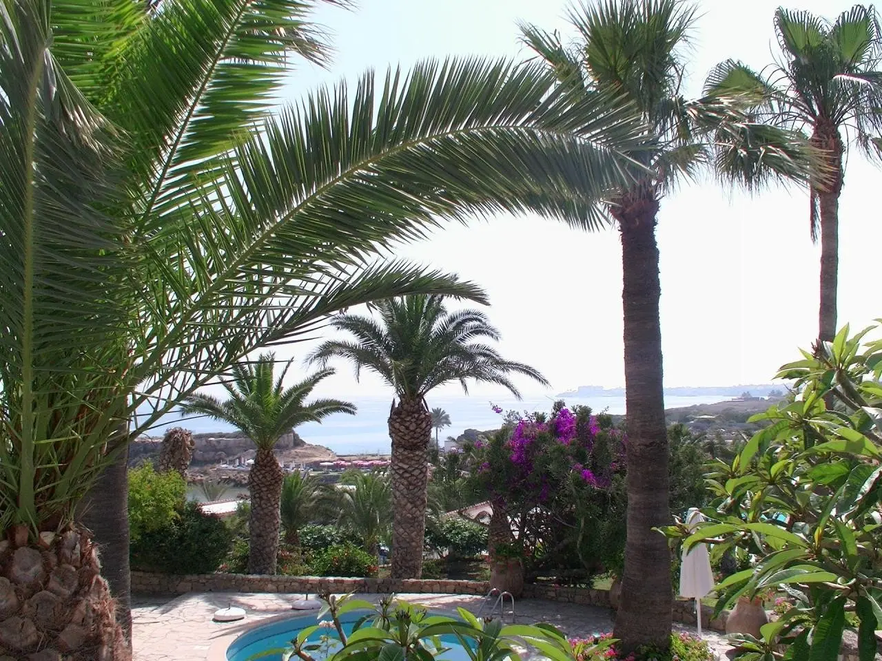 Denizkizi Royal — DENIZKIZI ROYAL