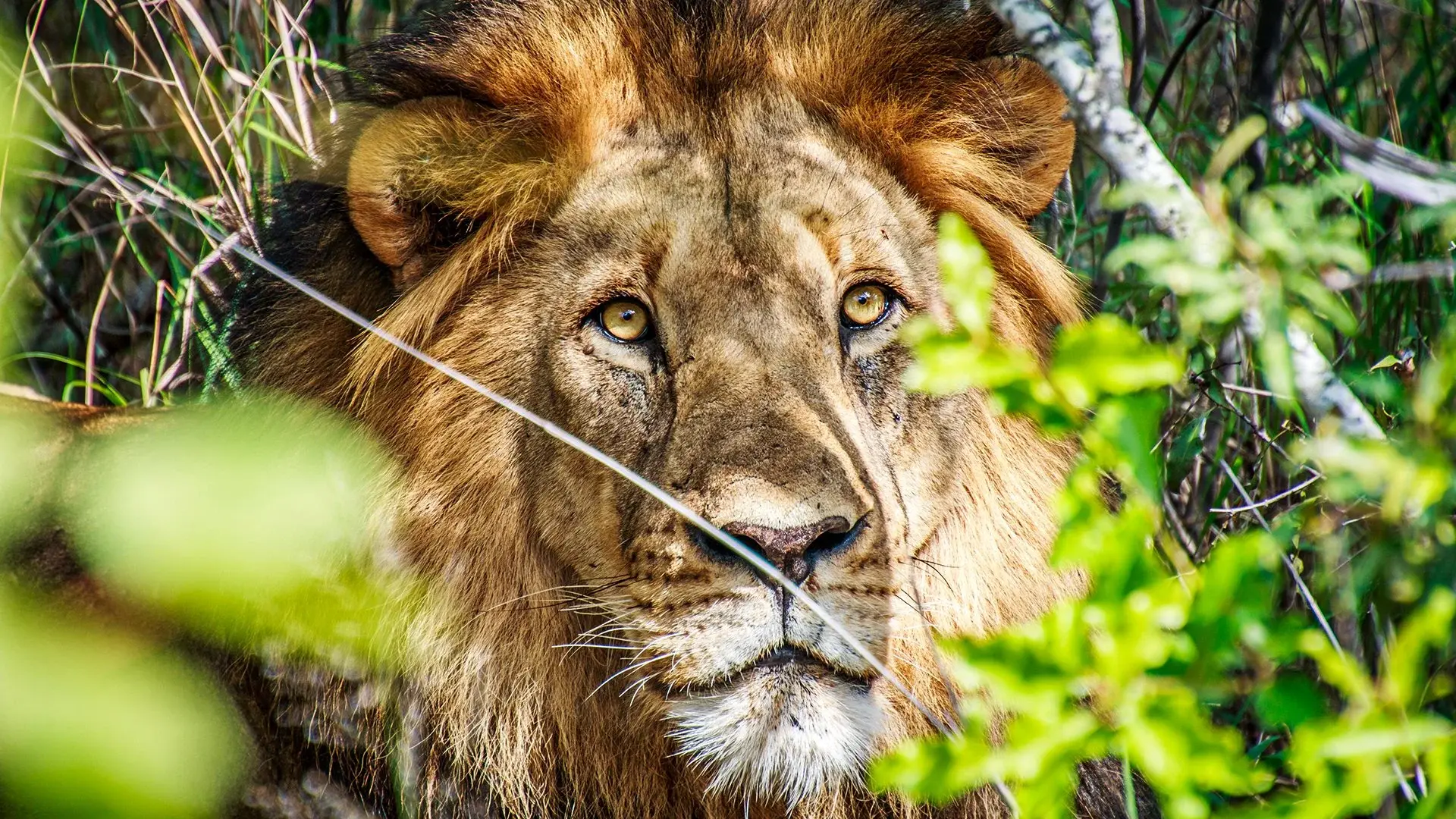 Hotel Diamenty Południowej Afryki