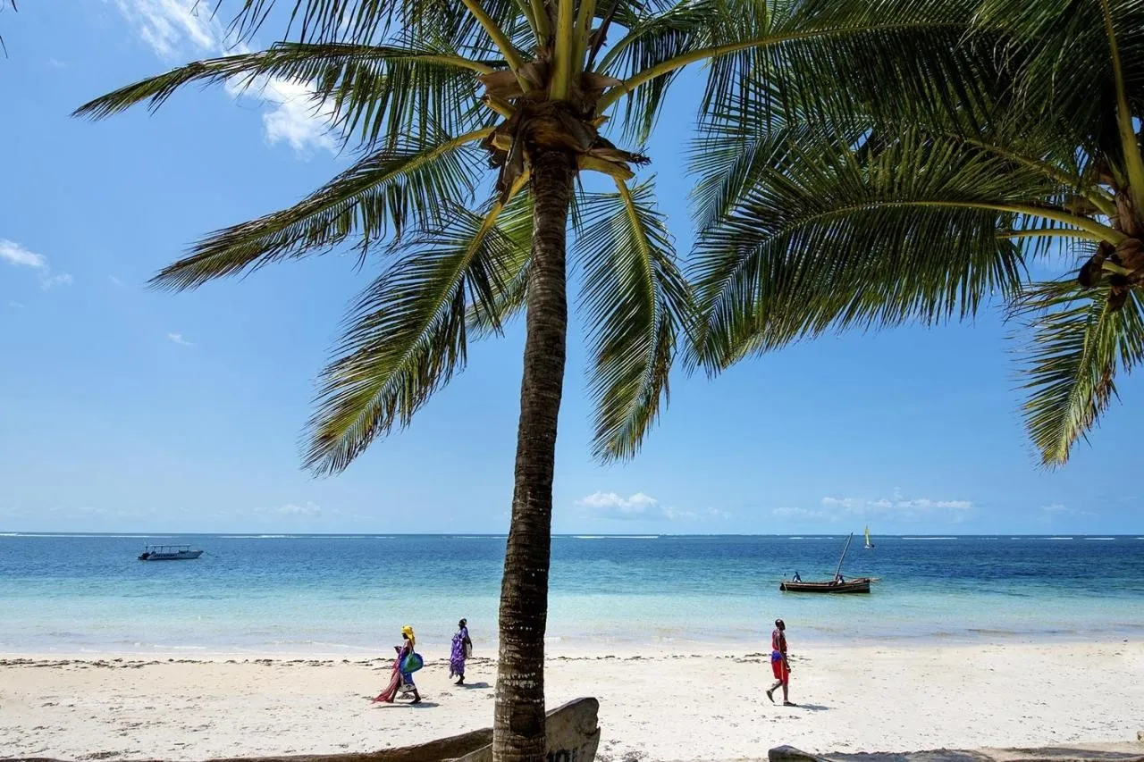 Diamonds Dream Of Africa — DIAMONDS DREAM OF AFRICA