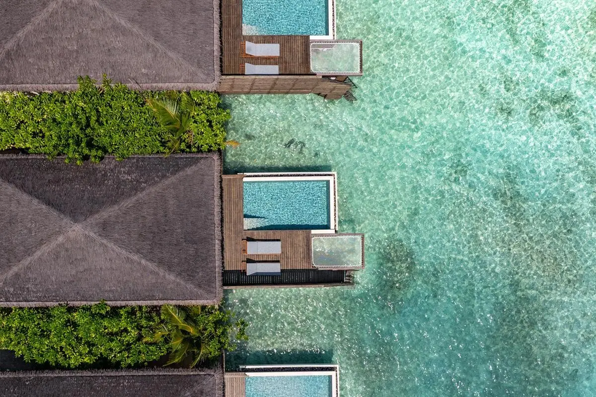 Dusit D2 Feydhoo Maldives — DUSIT D2 FEYDHOO MALDIVES