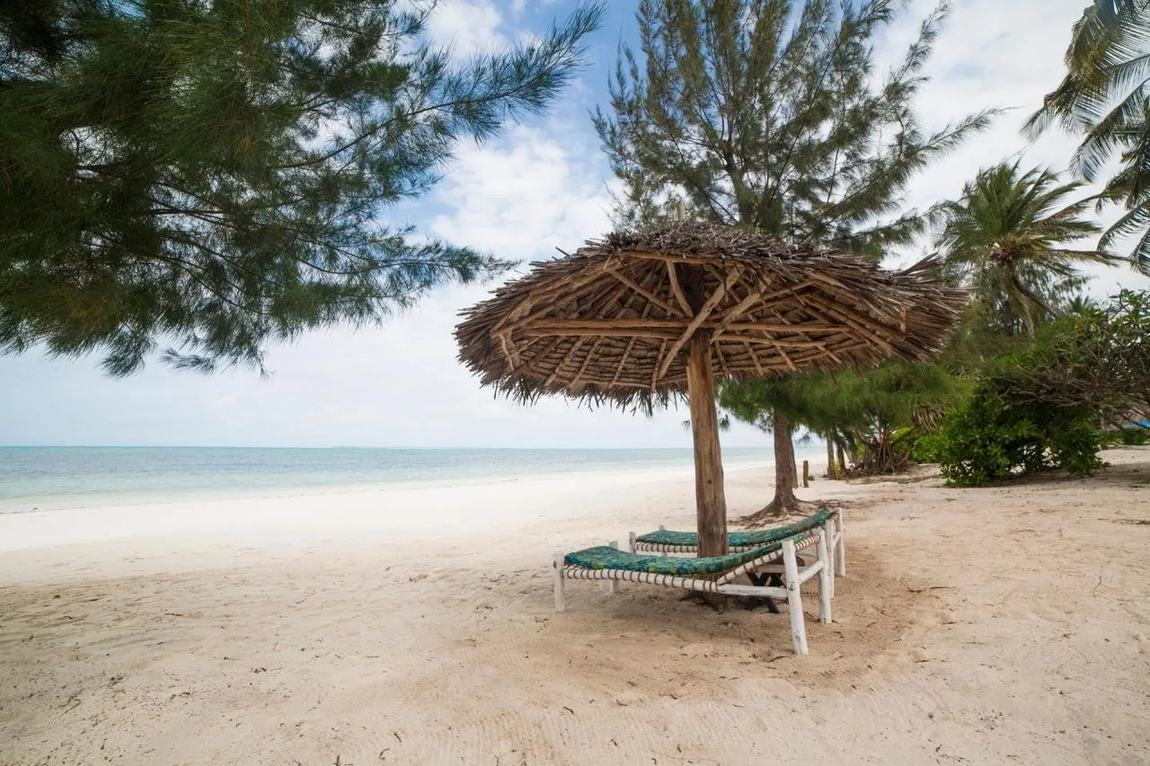 F-Zeen Boutique — F-ZEEN BOUTIQUE