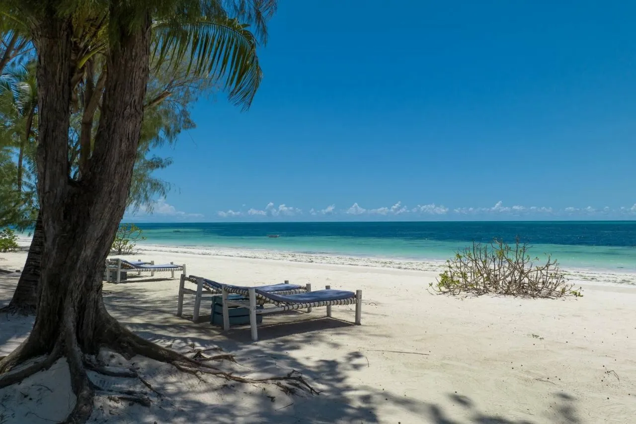 F-Zeen Boutique — F-ZEEN BOUTIQUE