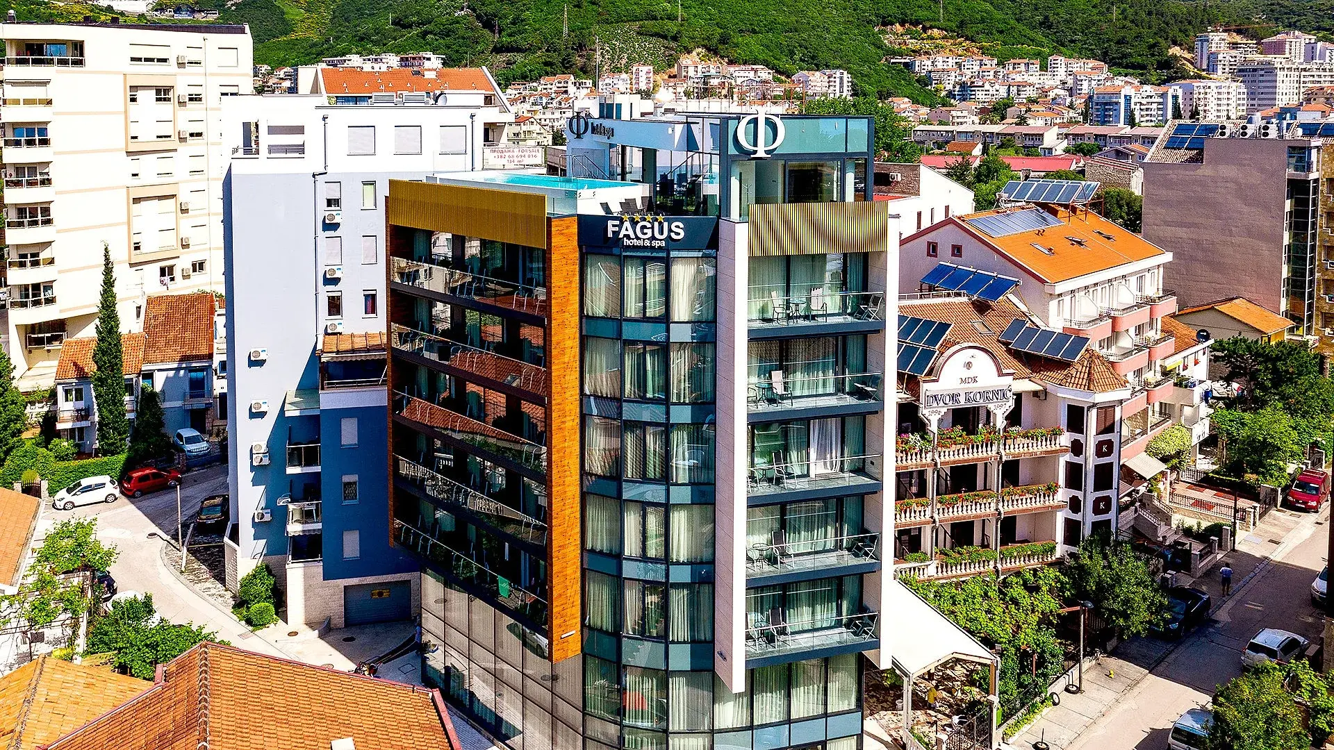 Obiekt hotelu Fagus