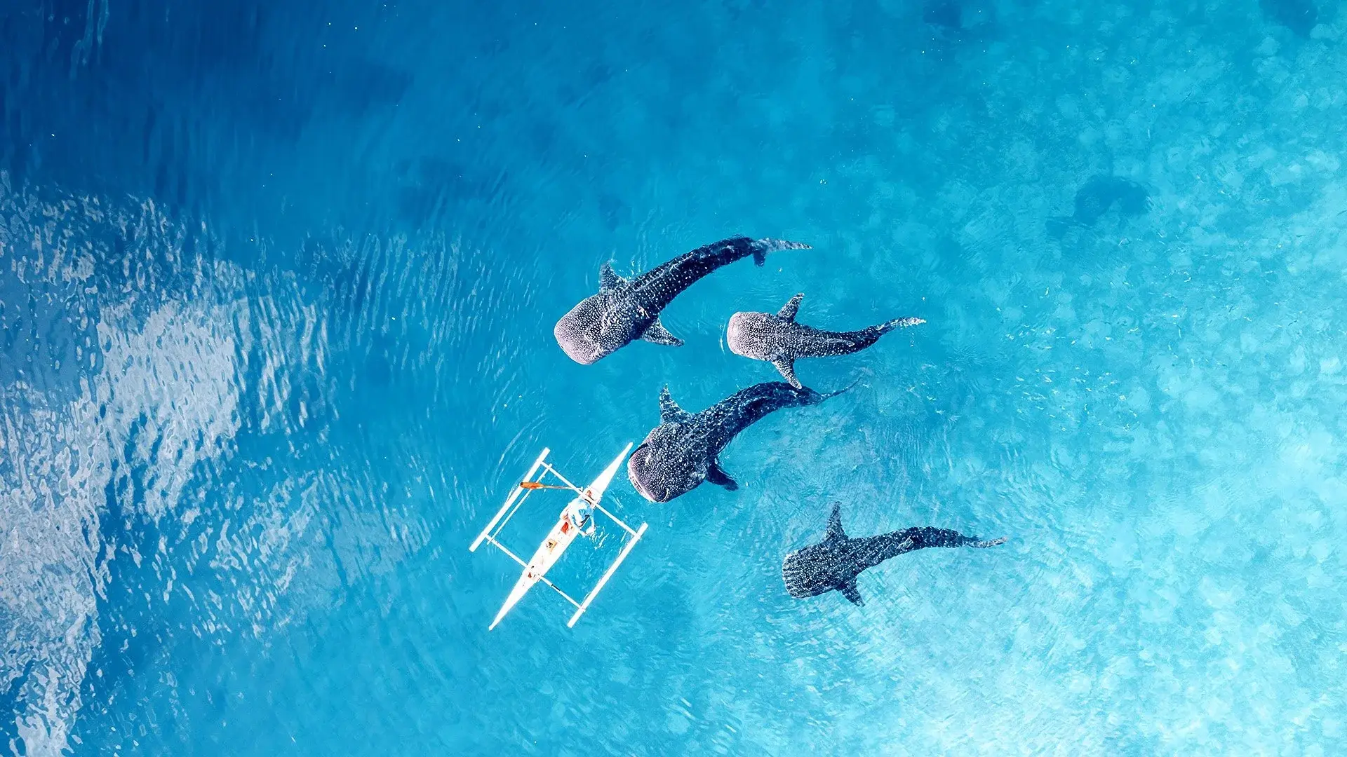 Filipiny: ocean przygód i wyspy czarów