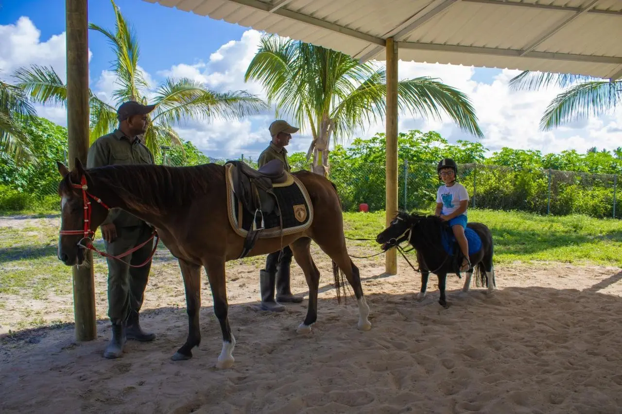 Hotel Crystals Beach Resort & Spa — CRYSTALS BEACH RESORT BELLE MARE