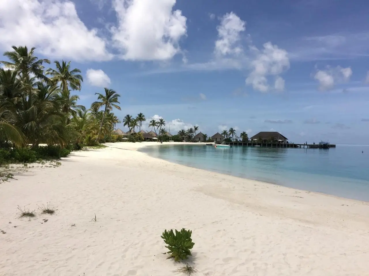 Hotel Safari Island Resort — SAFARI ISLAND RESORT & SPA