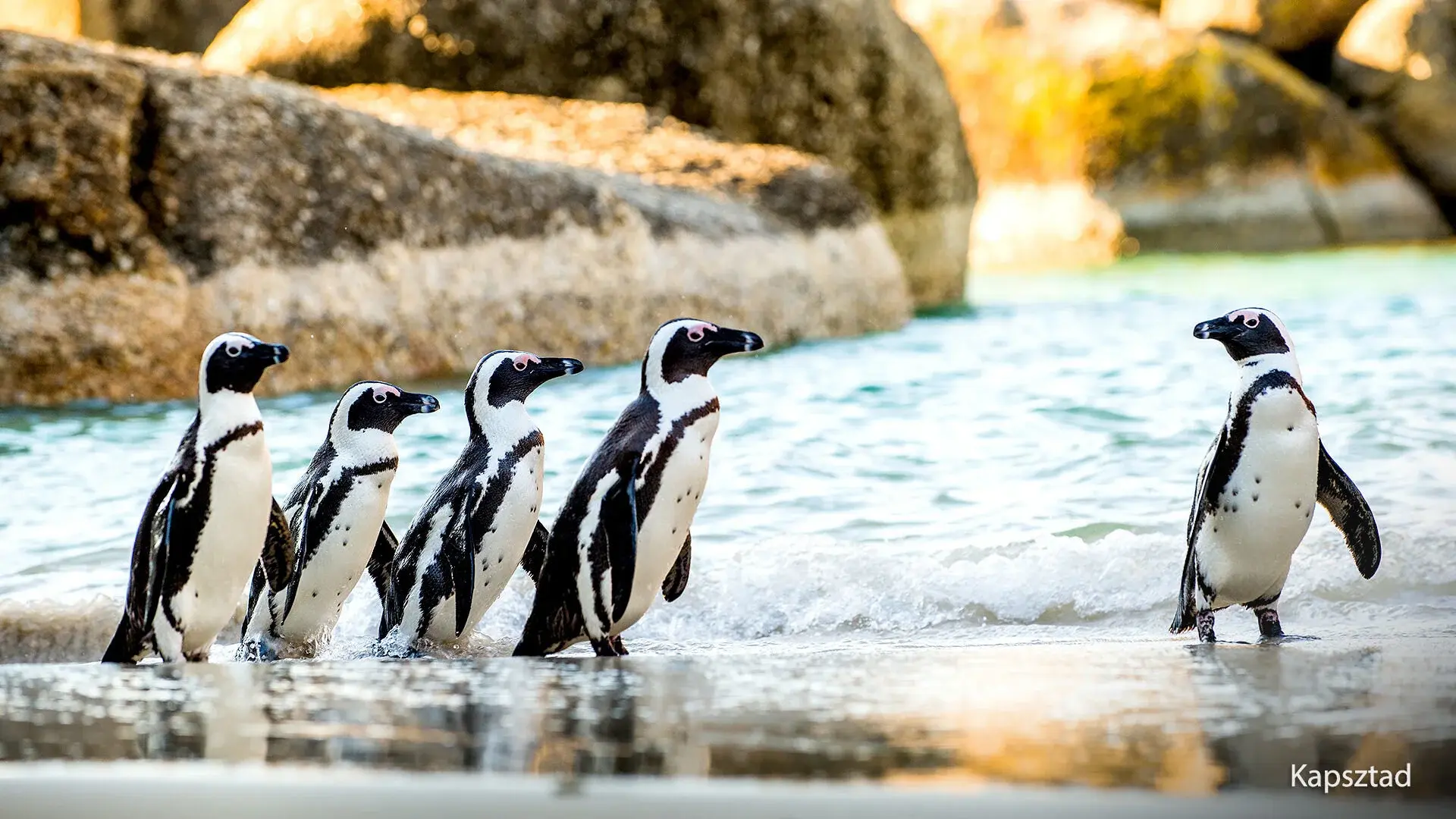 Wycieczka Kameralna podróż – Kapsztad