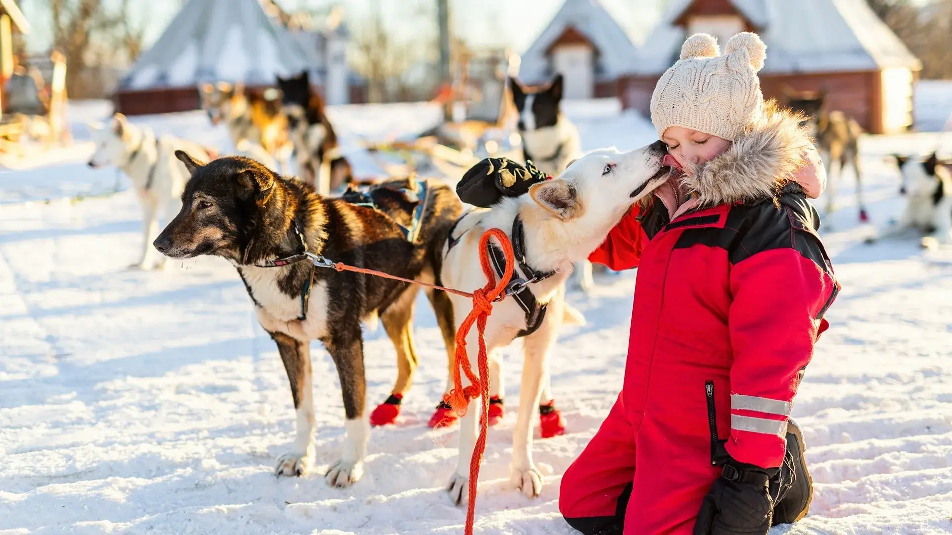 Laponia – z wizytą u Mikołaja