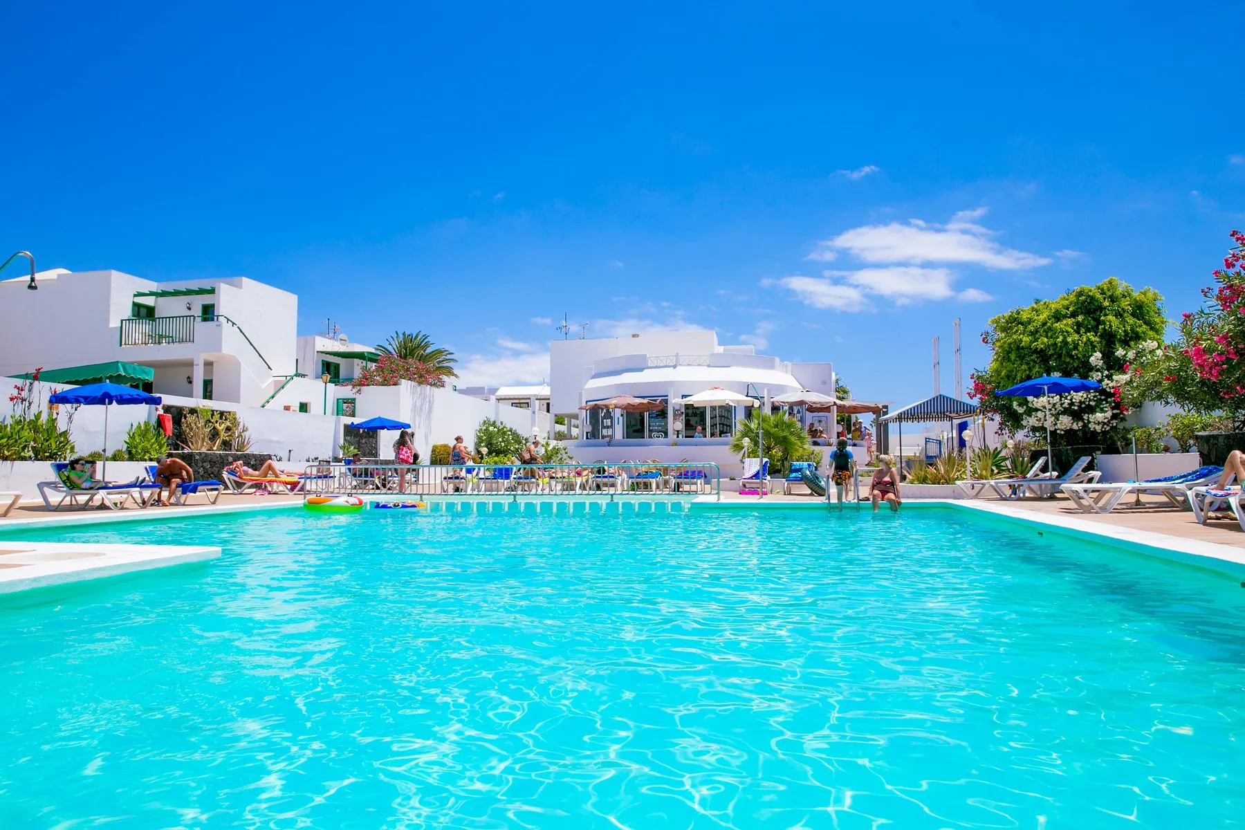 Livvo Oasis — LIVVO OASIS