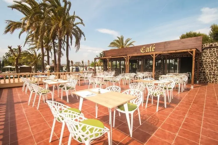 Magic Robin Hood — MAGIC ROBIN HOOD