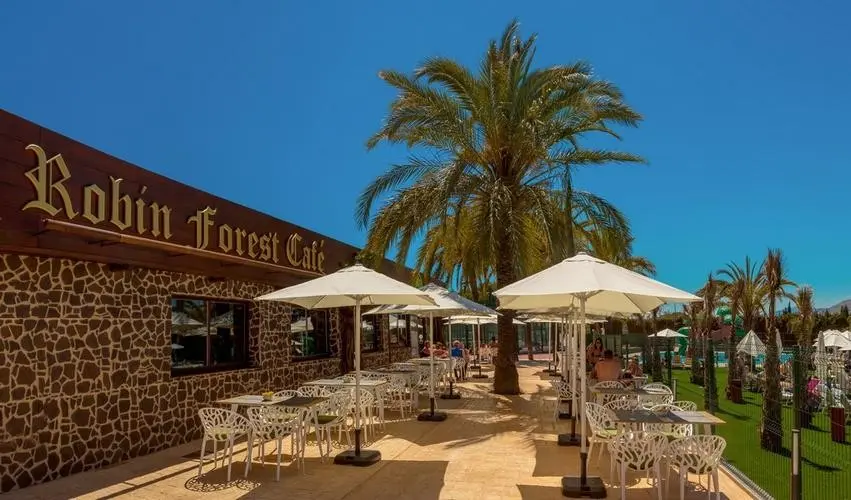 Magic Robin Hood — MAGIC ROBIN HOOD