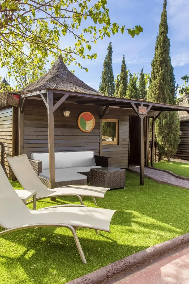 Magic Robin Hood — MAGIC ROBIN HOOD