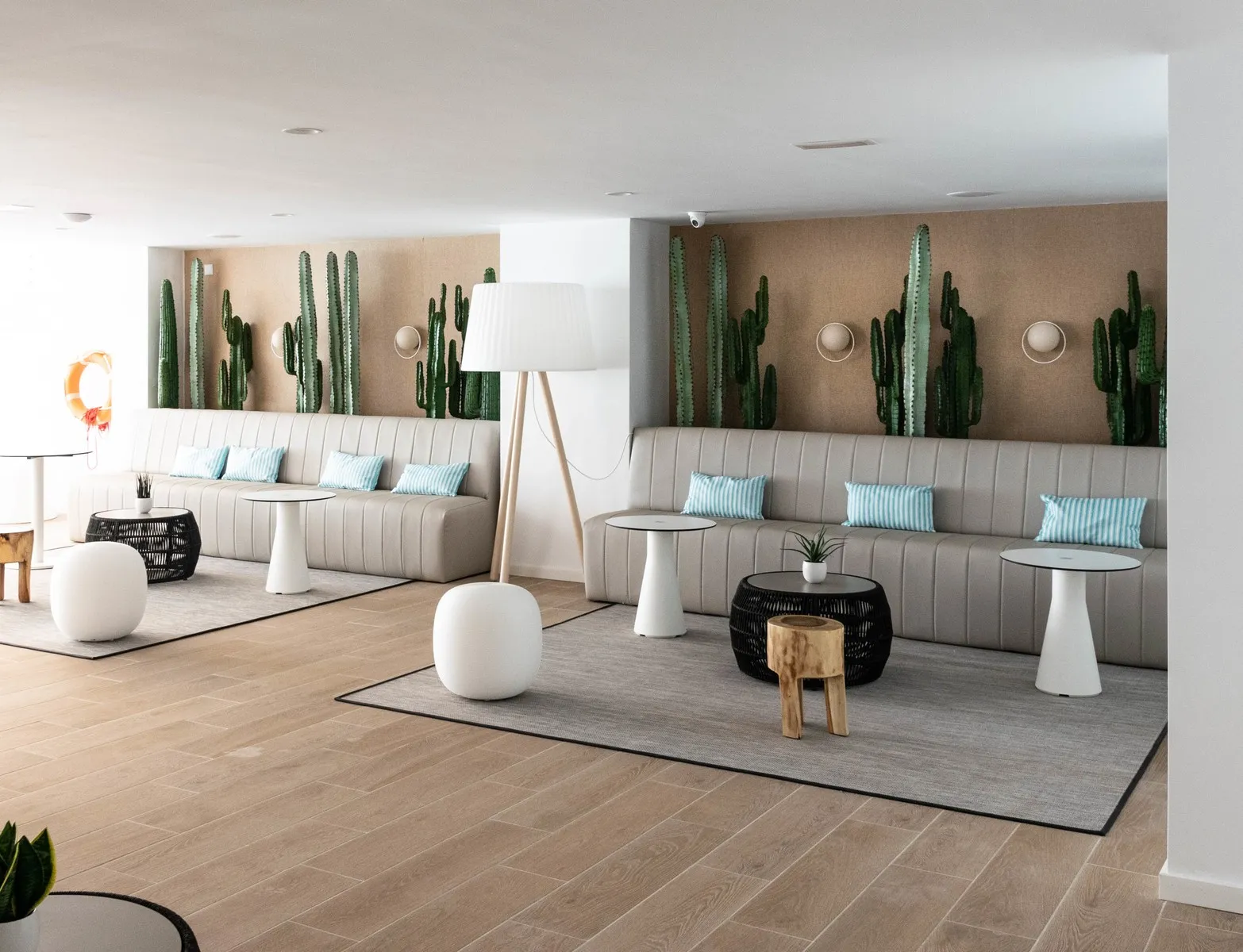 Mediodia — MEDIODIA