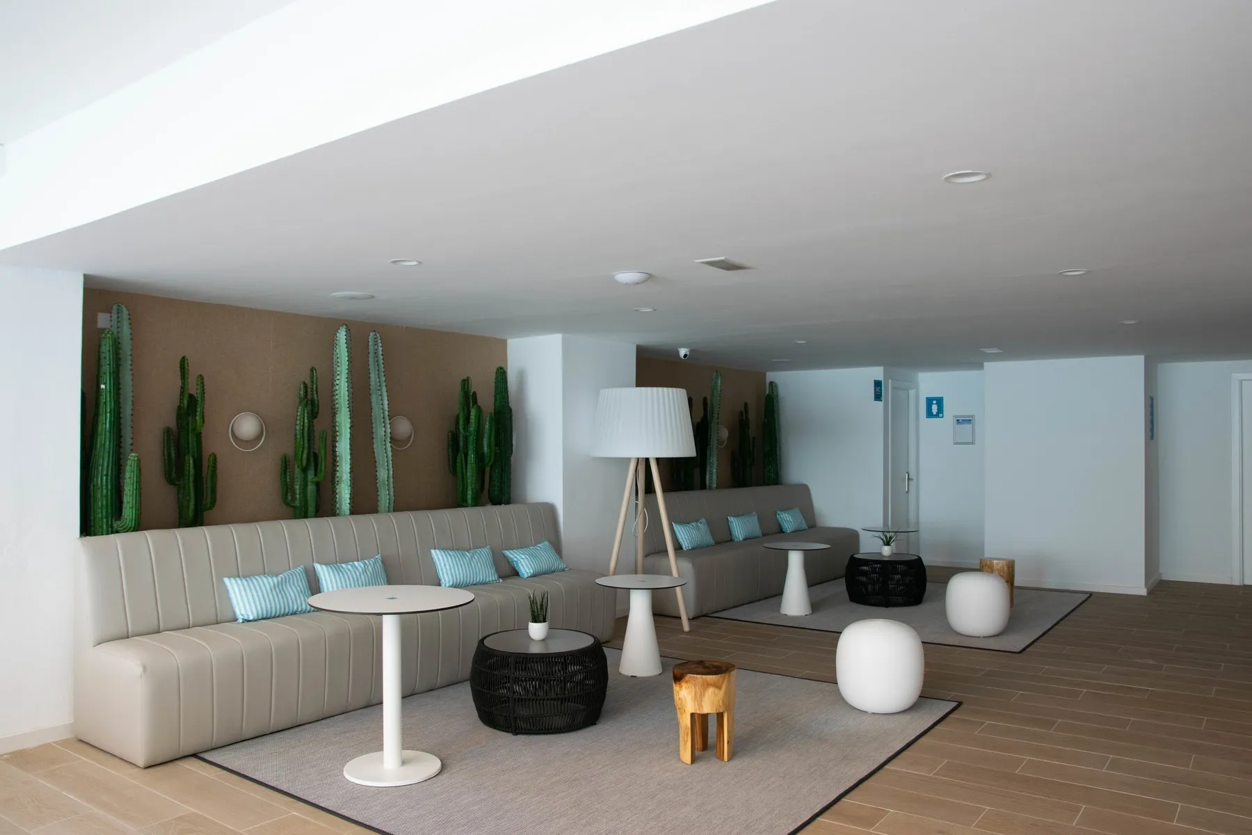 Mediodia — MEDIODIA