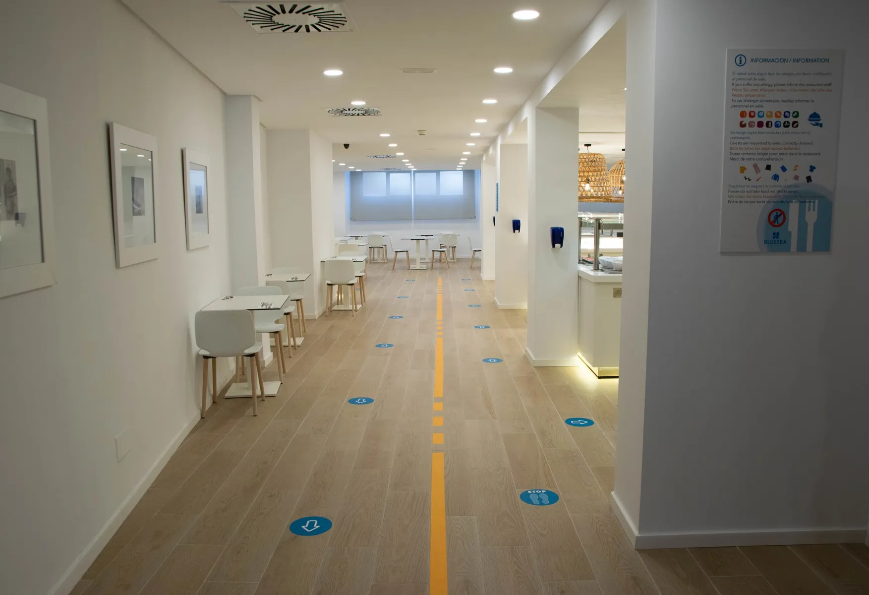 Mediodia — MEDIODIA