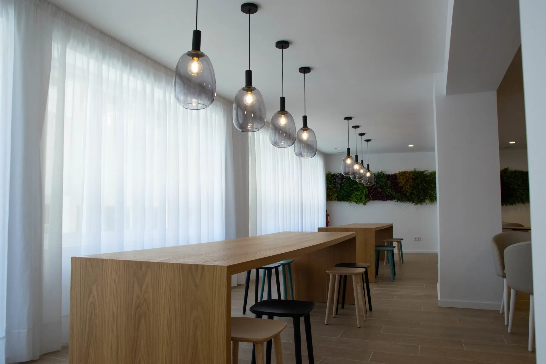 Mediodia — MEDIODIA