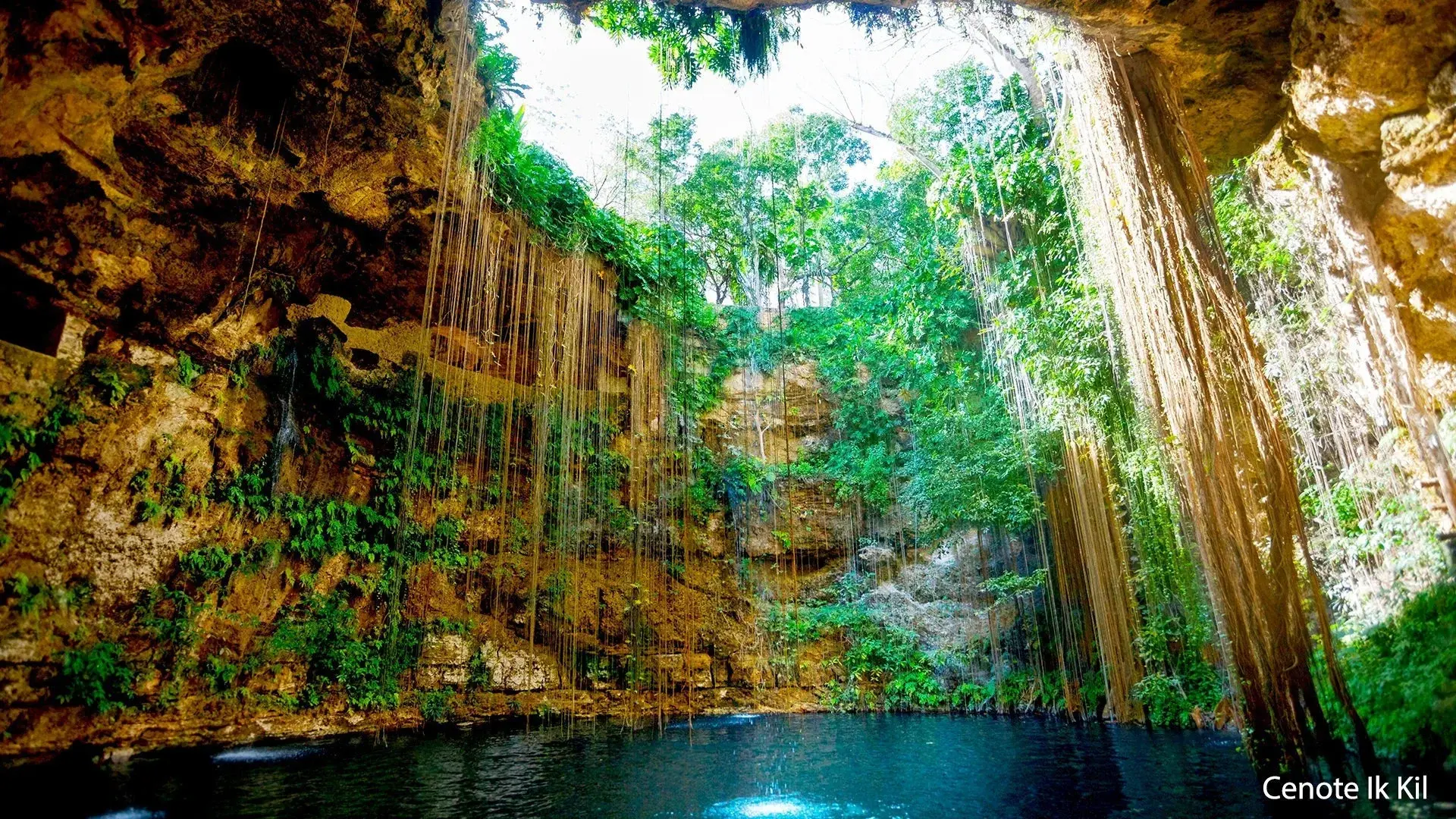 Wycieczka Meksyk – z wizytą u Majów