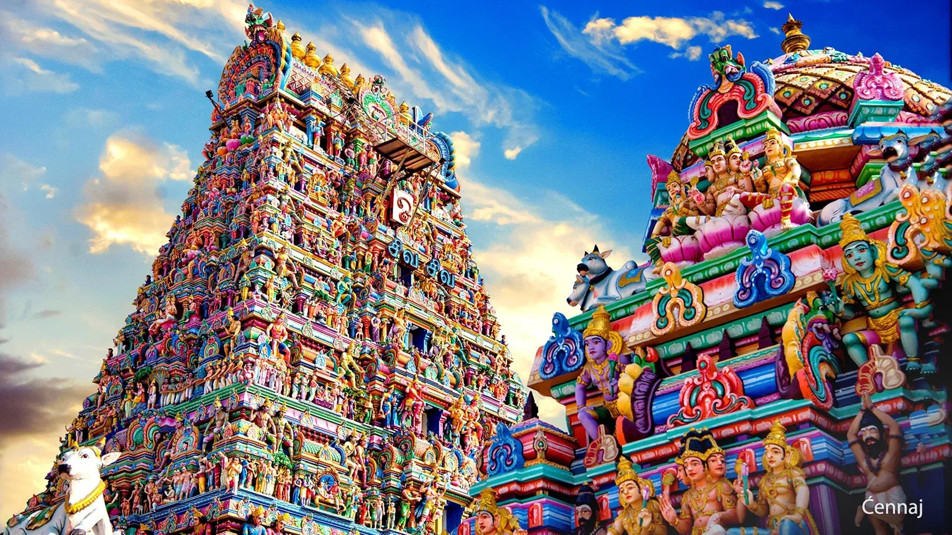 Hotel Na południu Indii