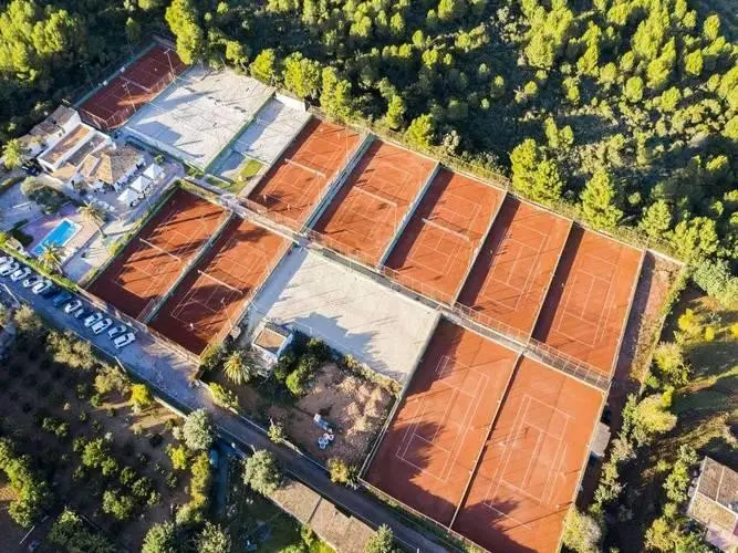 Na Taconera — NA TACONERA