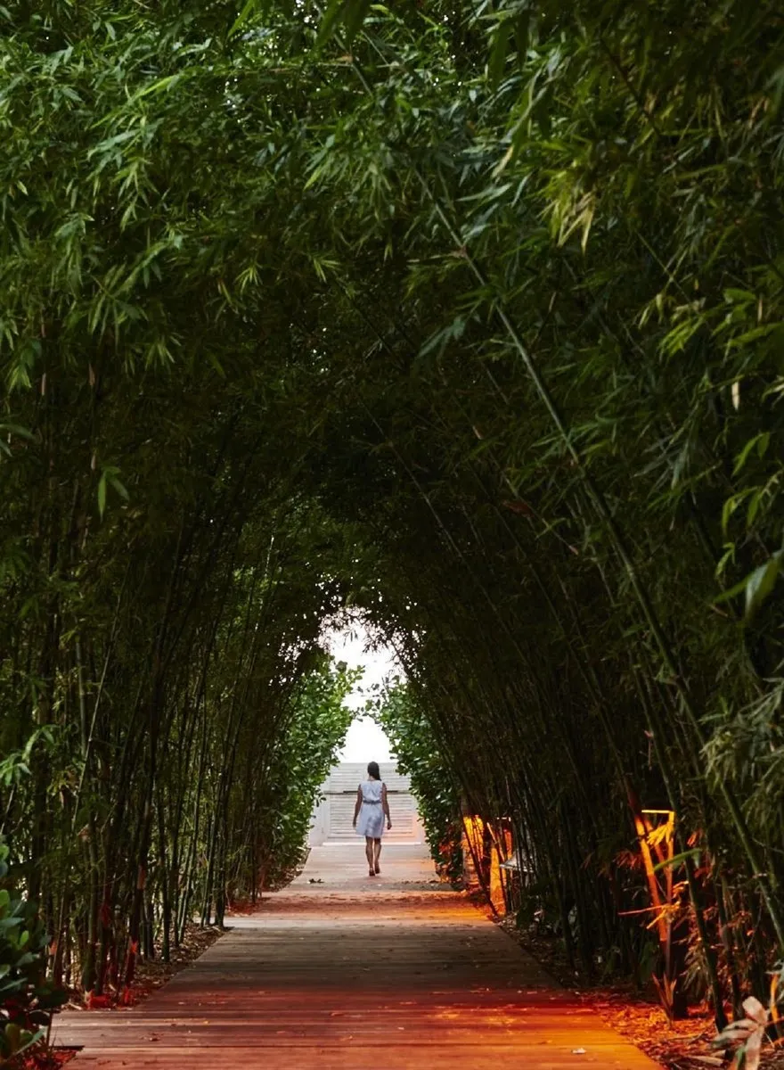 Nautilus Sonesta Miami Beach — NAUTILUS SONESTA MIAMI BEACH