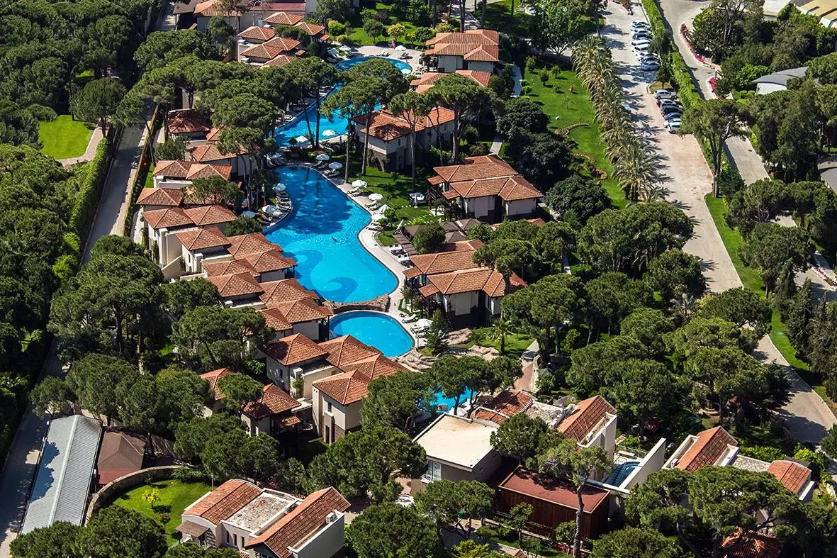 Papillon Ayscha — PAPILLON AYSCHA