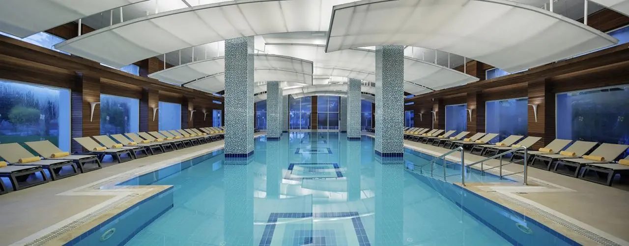 Papillon Ayscha — PAPILLON AYSCHA