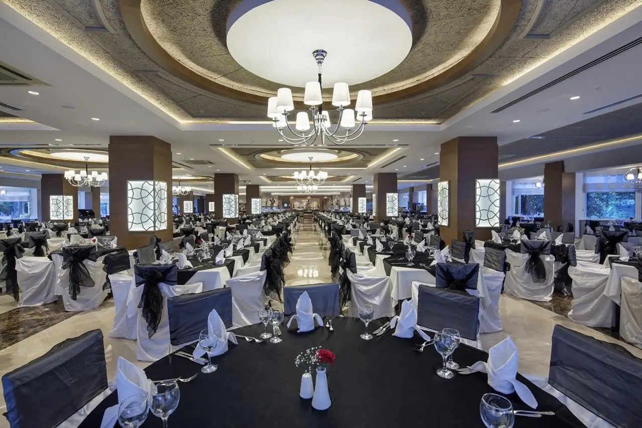 Papillon Ayscha — PAPILLON AYSCHA