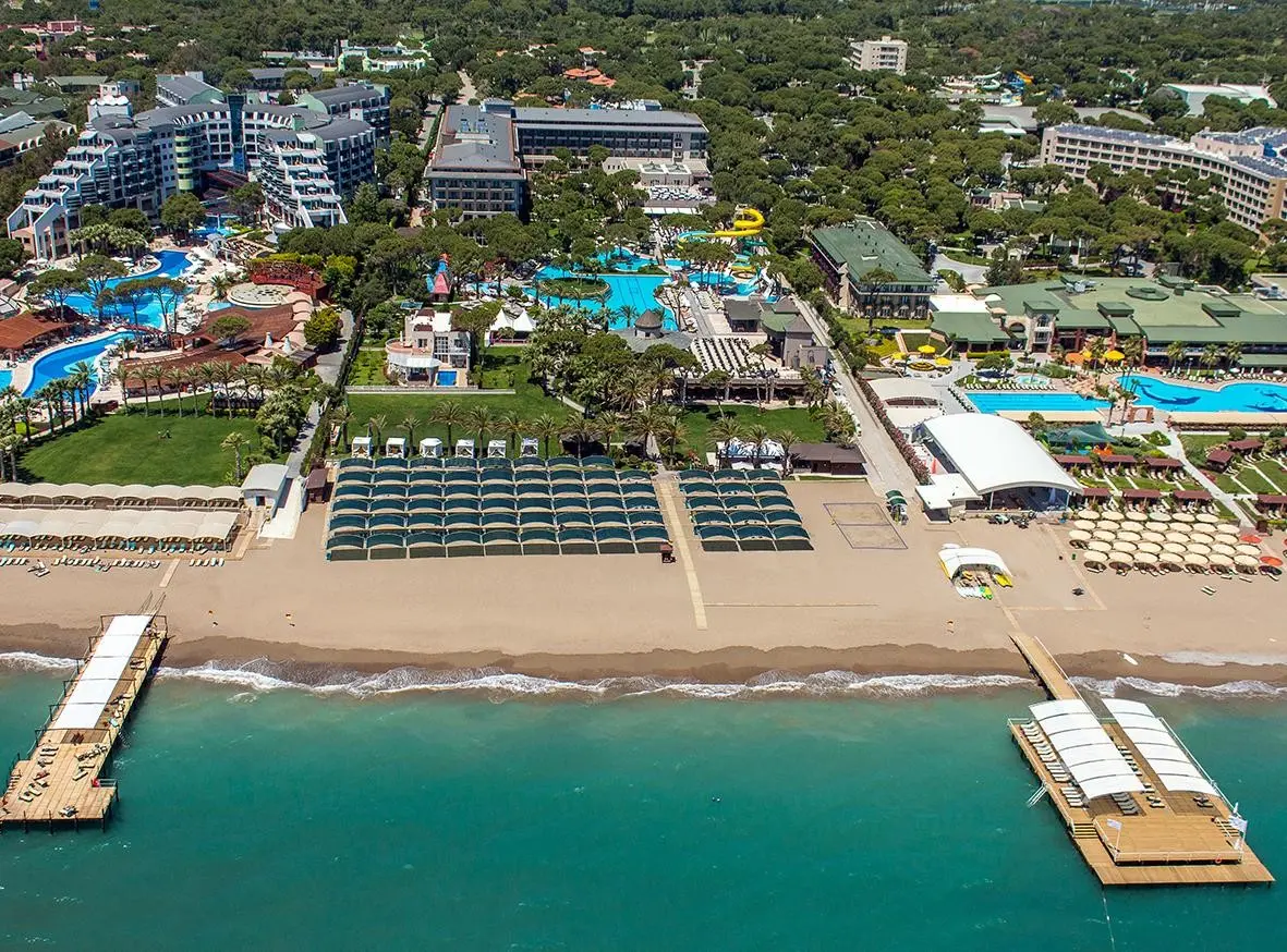 Papillon Ayscha — PAPILLON AYSCHA