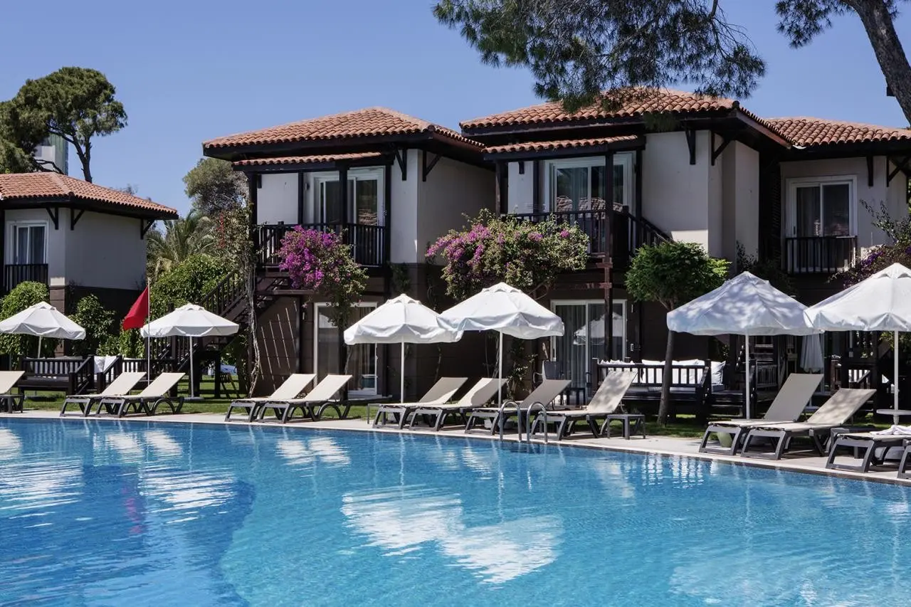 Papillon Ayscha — PAPILLON AYSCHA