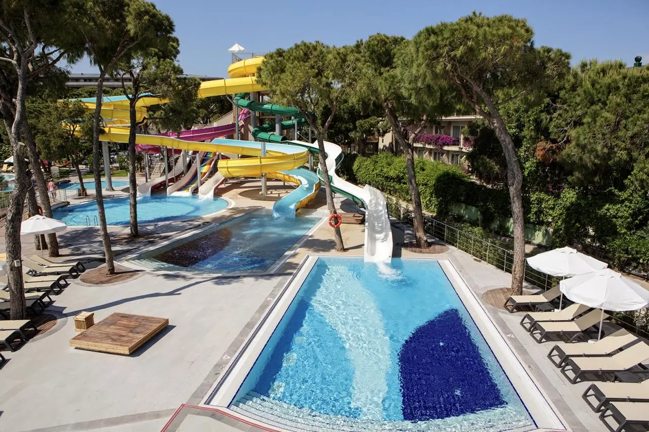 Papillon Ayscha — PAPILLON AYSCHA