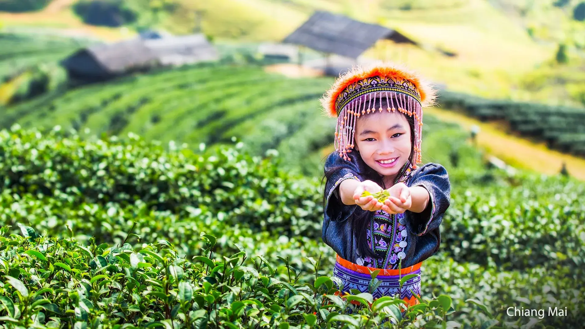 Hotel Podróż do krainy uśmiechu