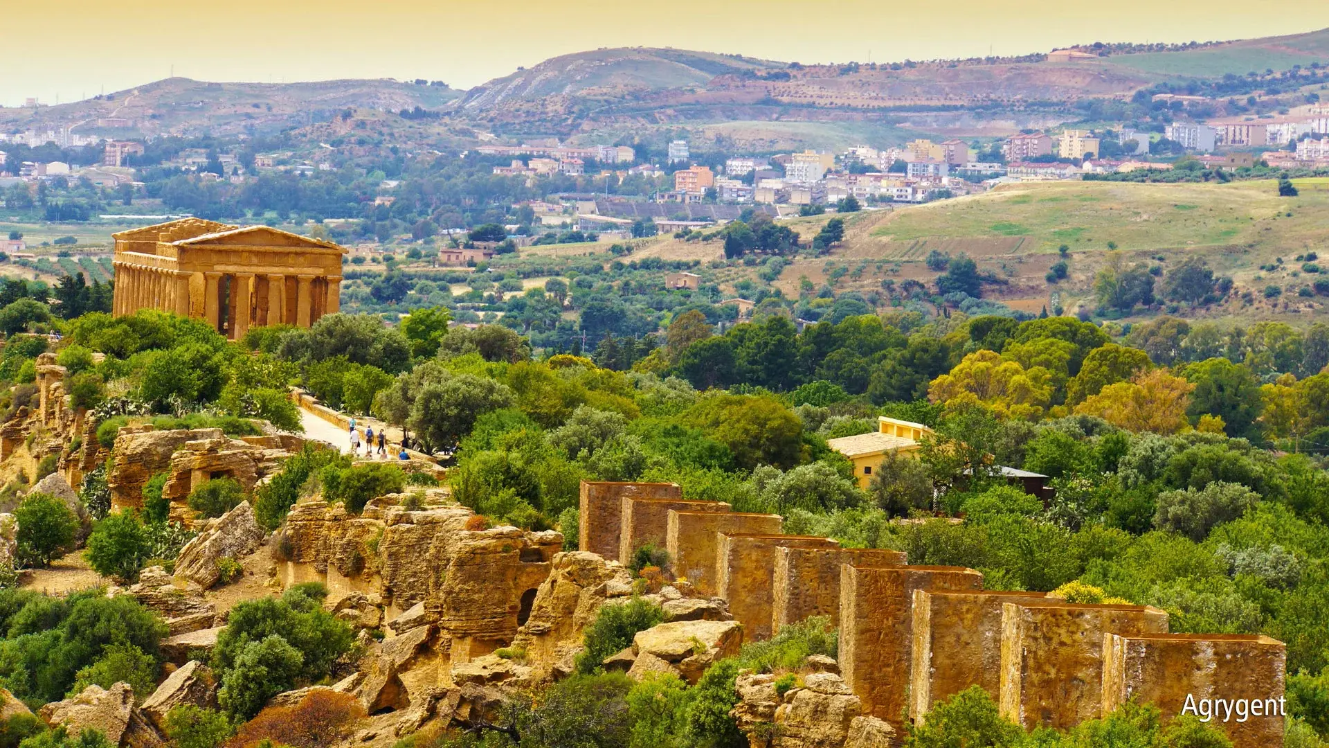 Wycieczka Pomarańcze i mandarynki