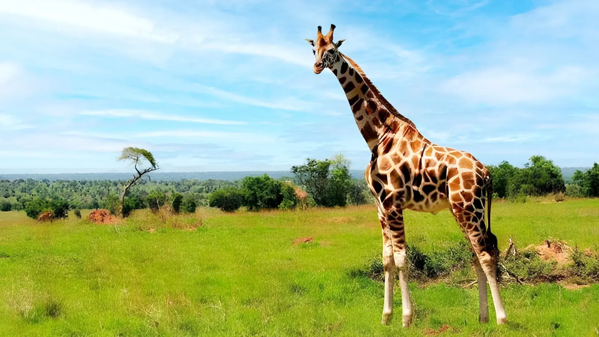 Wycieczka Rwące przygody nad Nilem