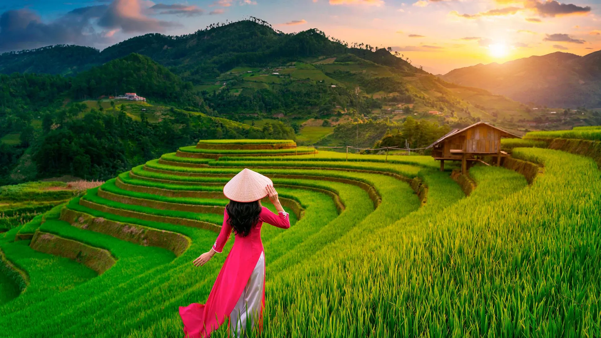 Hotel Ryż na polu, raj na plaży