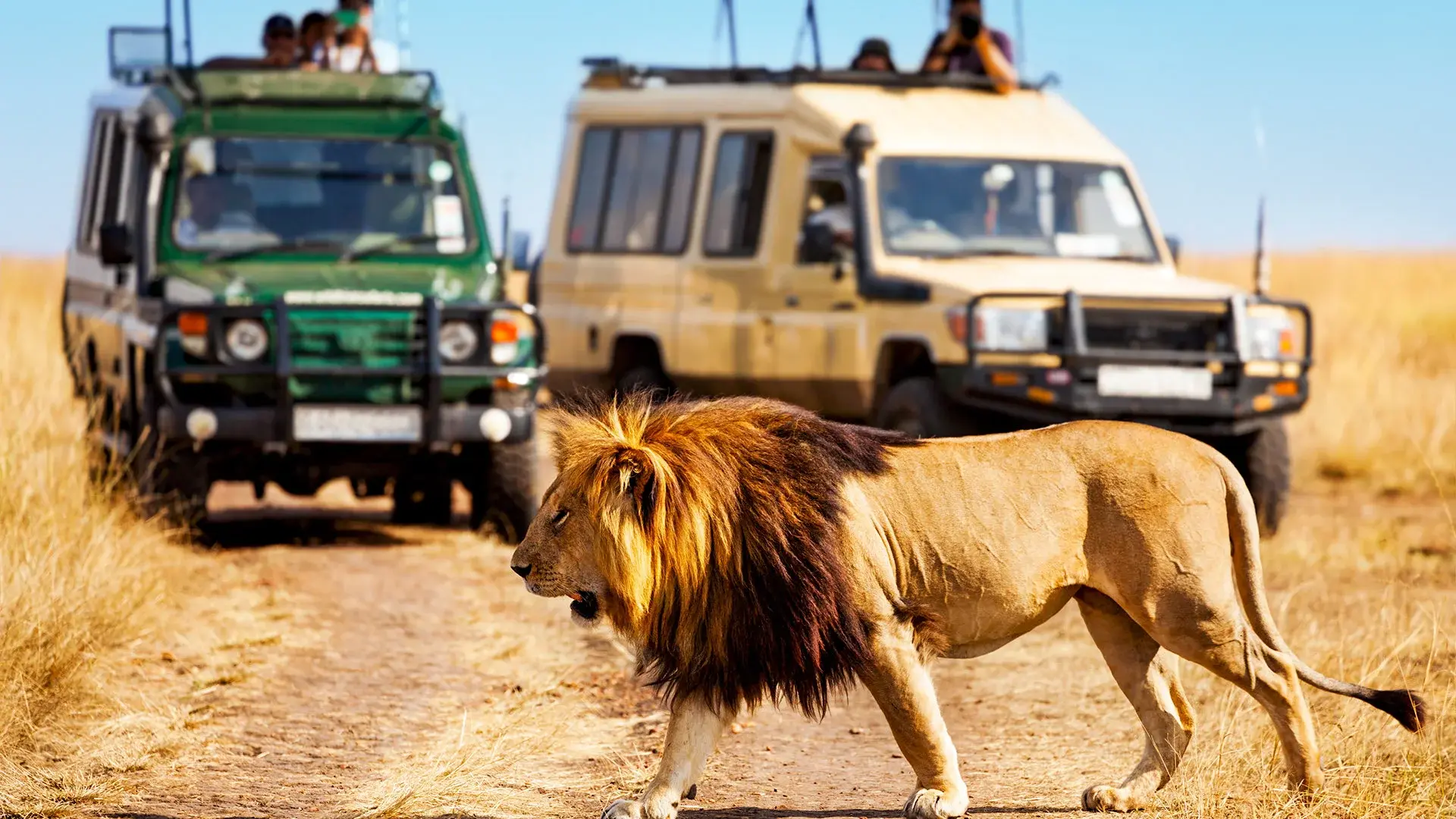 Hotel Safari Express