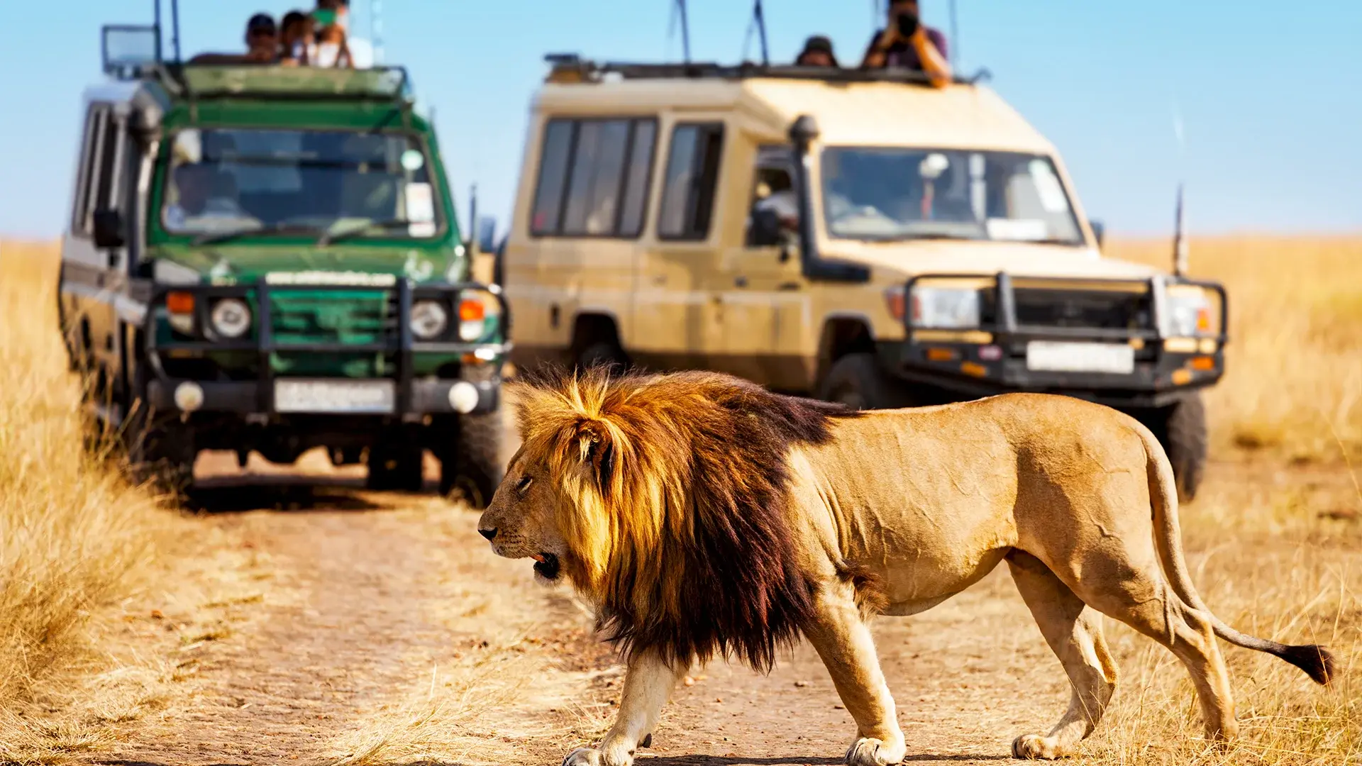 Hotel Safari Express + Hotel PrideInn Flamingo Beach Resort & Spa