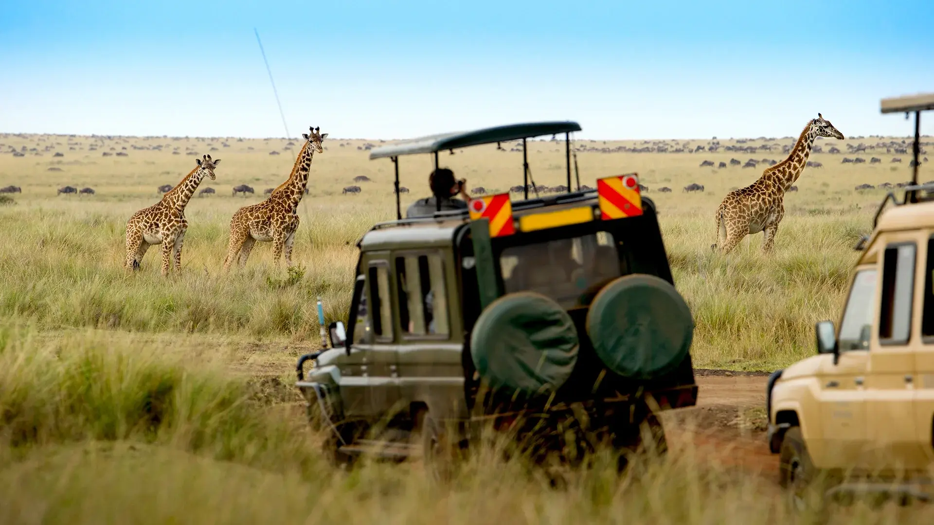 Wycieczka Safari Express + Hotel PrideInn Paradise Beach Resort