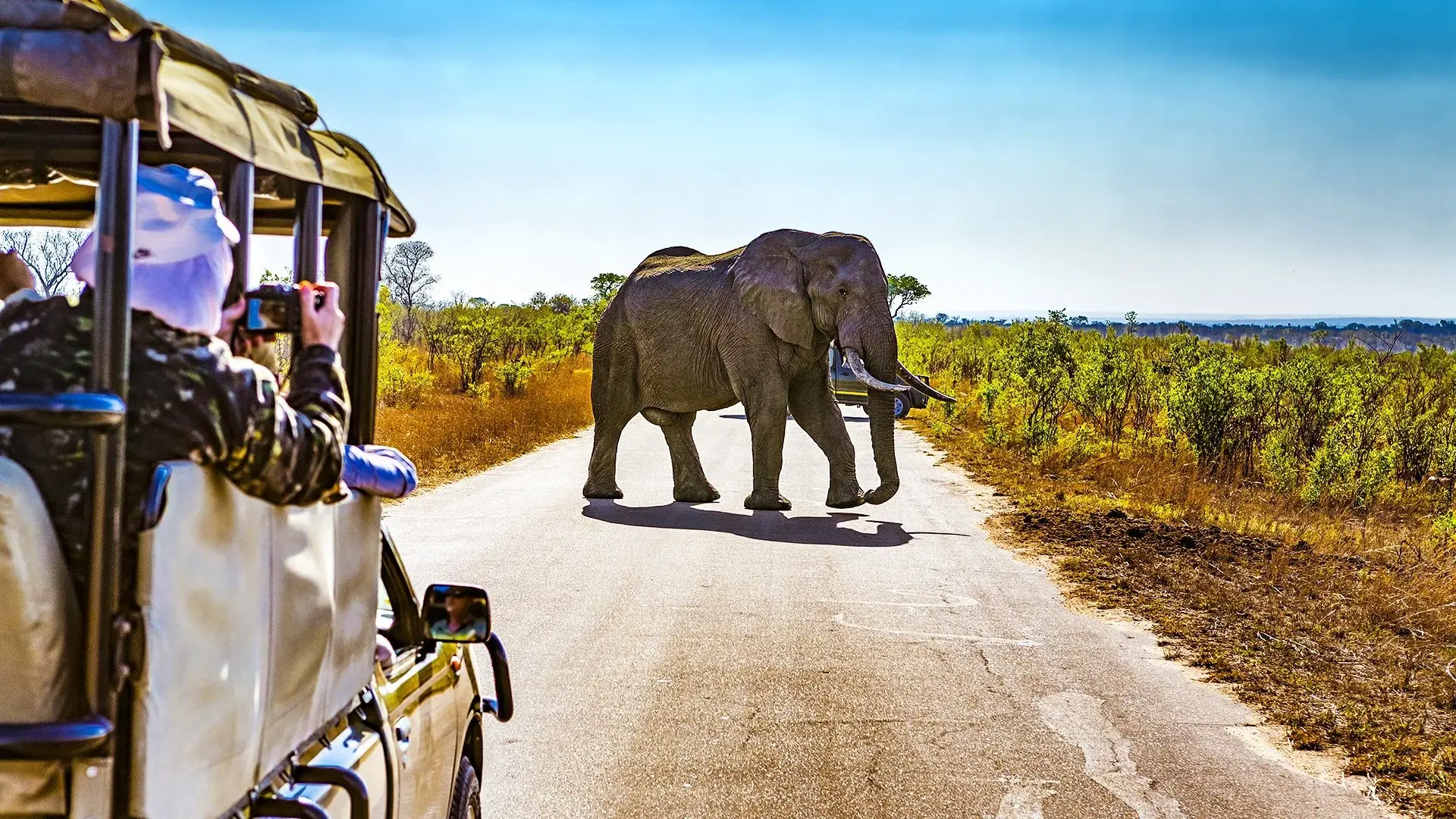 Hotel Safari z Wielką Piątką