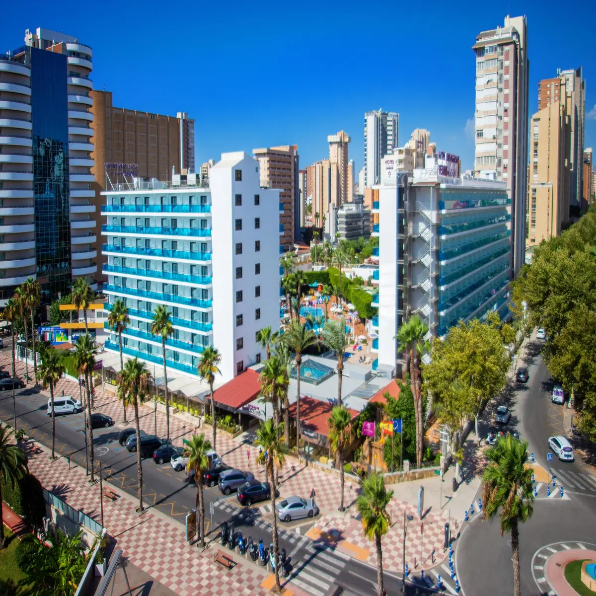 Servigroup Venus — SERVIGROUP VENUS