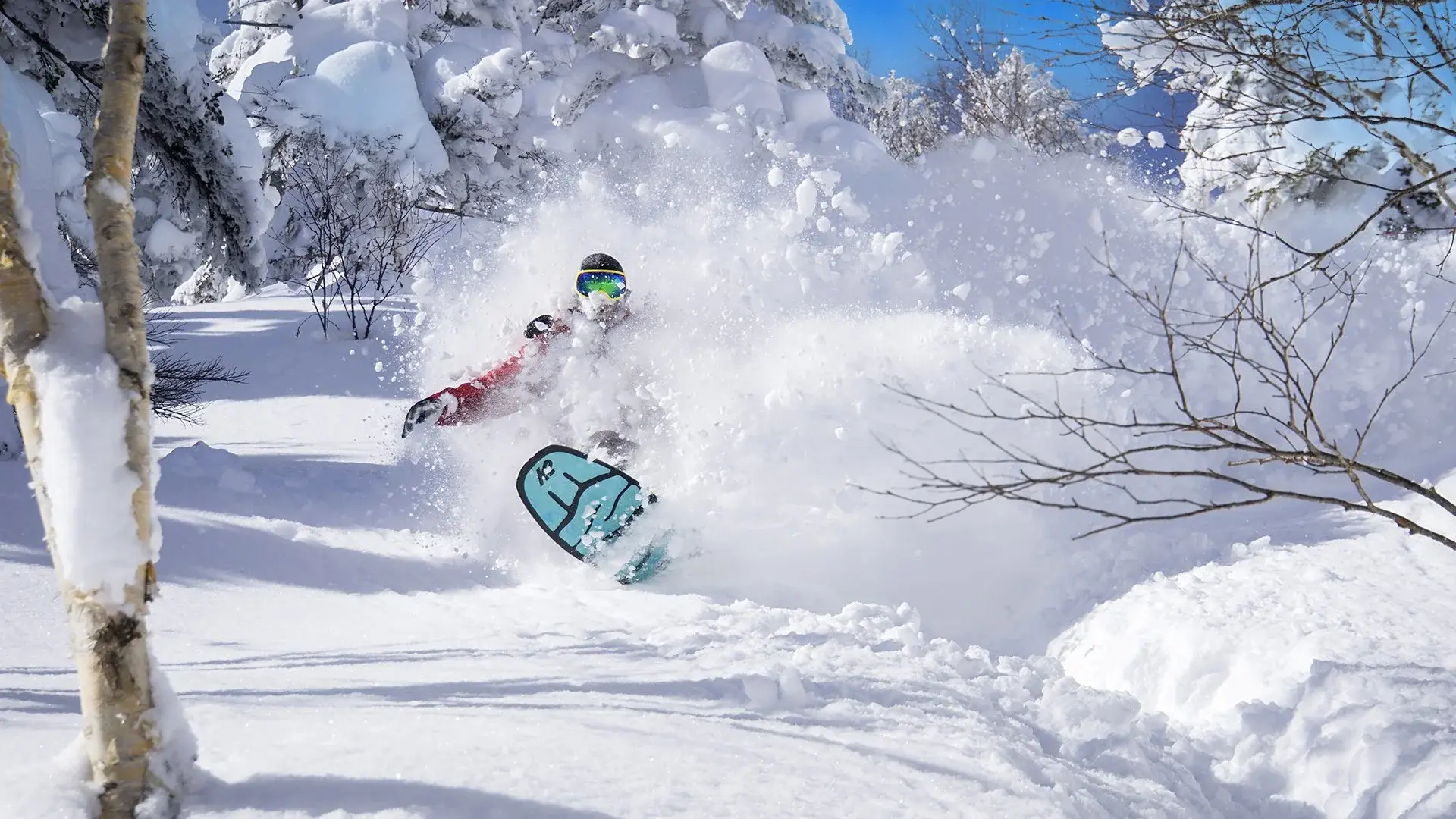 Wycieczka Ski safari – narty w Japonii