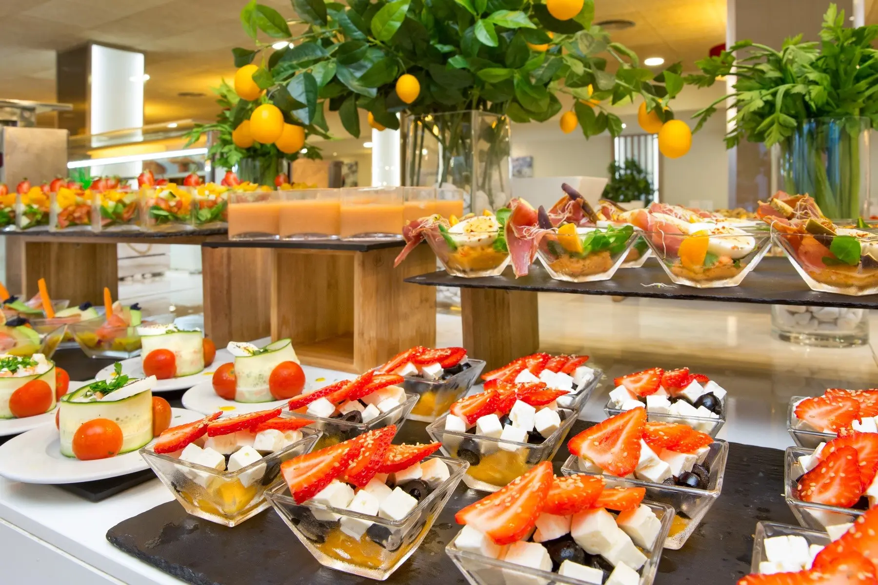 Sumus Stella & Spa — SUMUS STELLA & SPA