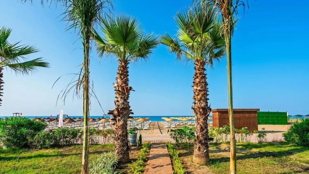 Sy Hotels Boutique Luxury — SY HOTELS BOUTIQUE LUXURY