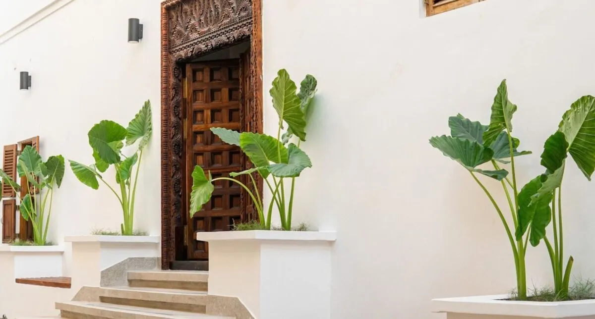 The Neela Boutique Hotel Stone Town — THE NEELA BOUTIQUE HOTEL STONE TOWN