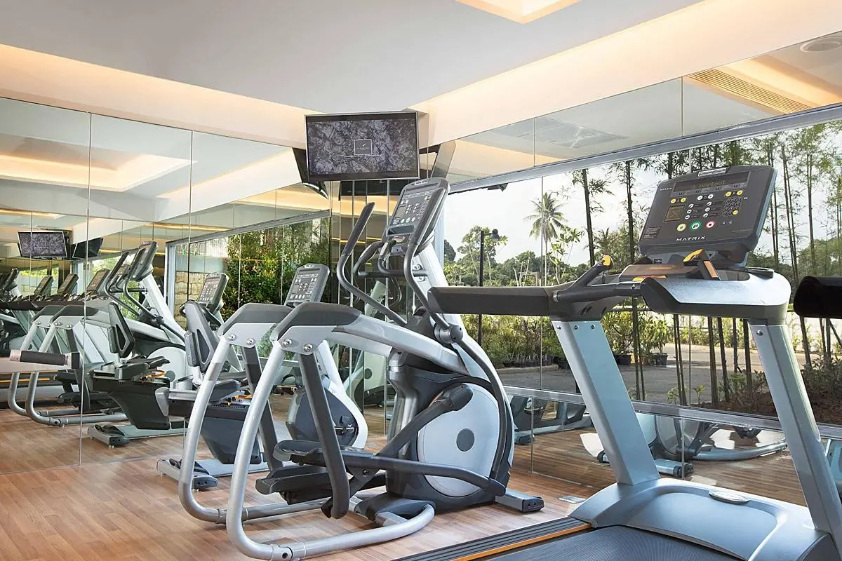 The Shell Sea — THE SHELL SEA