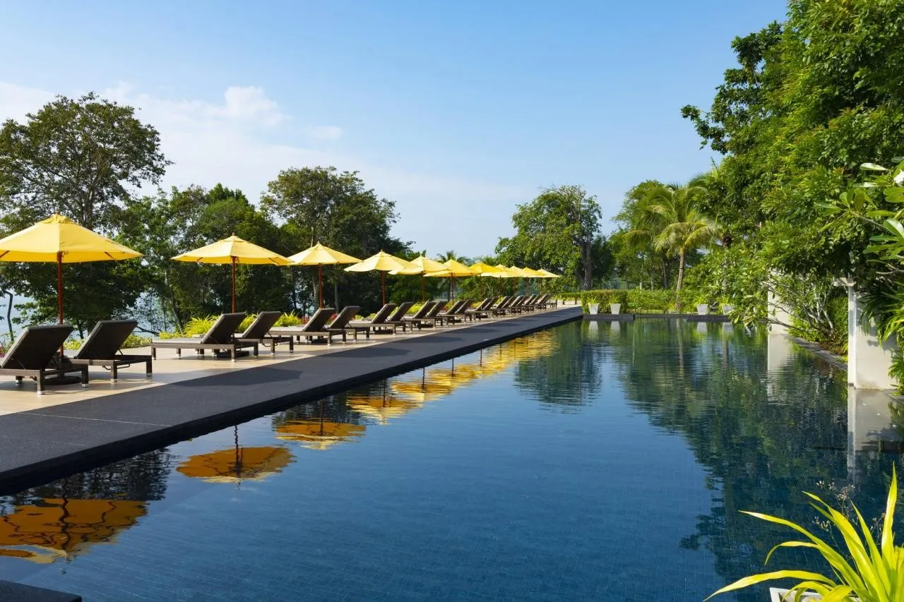 The Shell Sea — THE SHELL SEA